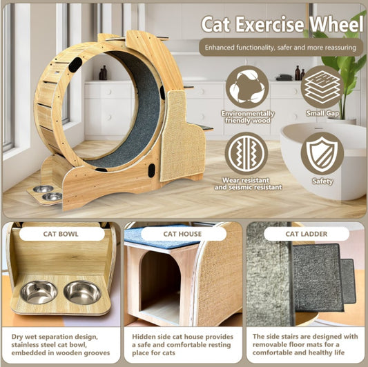 5-in-1 Cat Sport Running Wheel