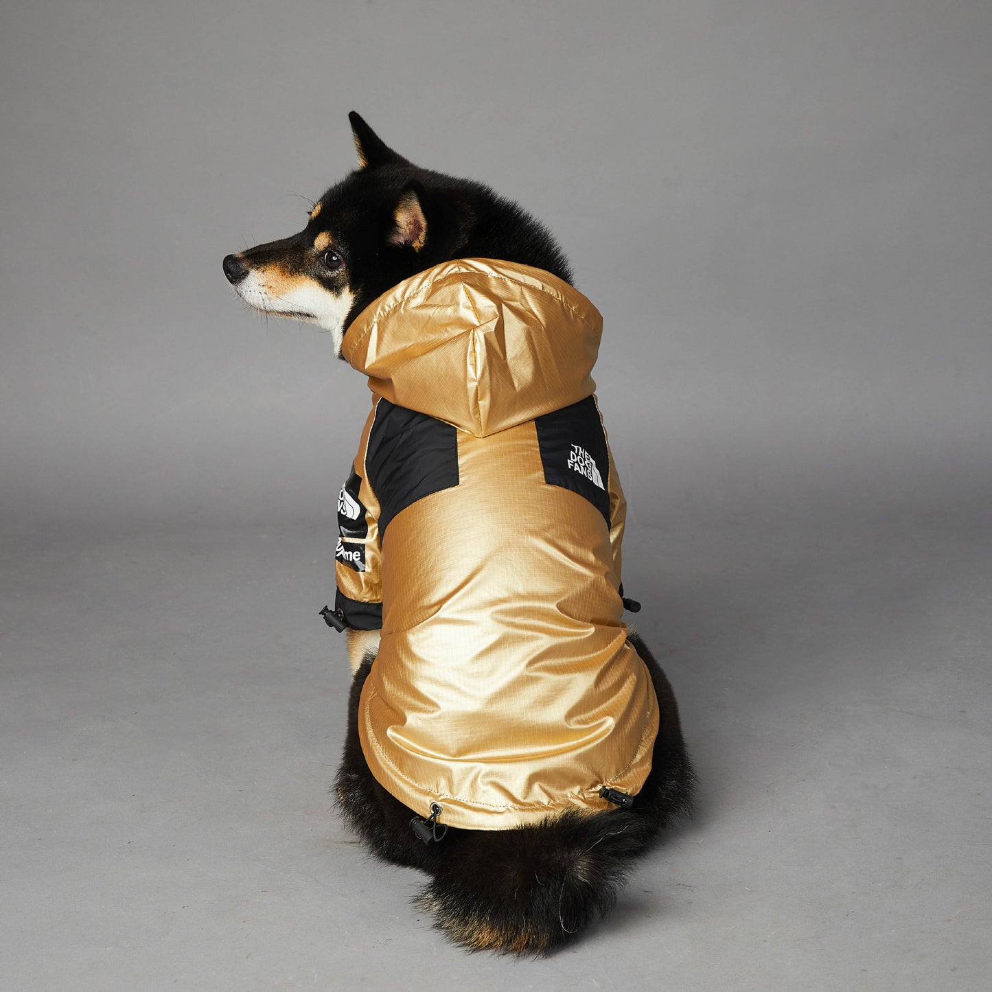 Dog Raincoat  Jacket