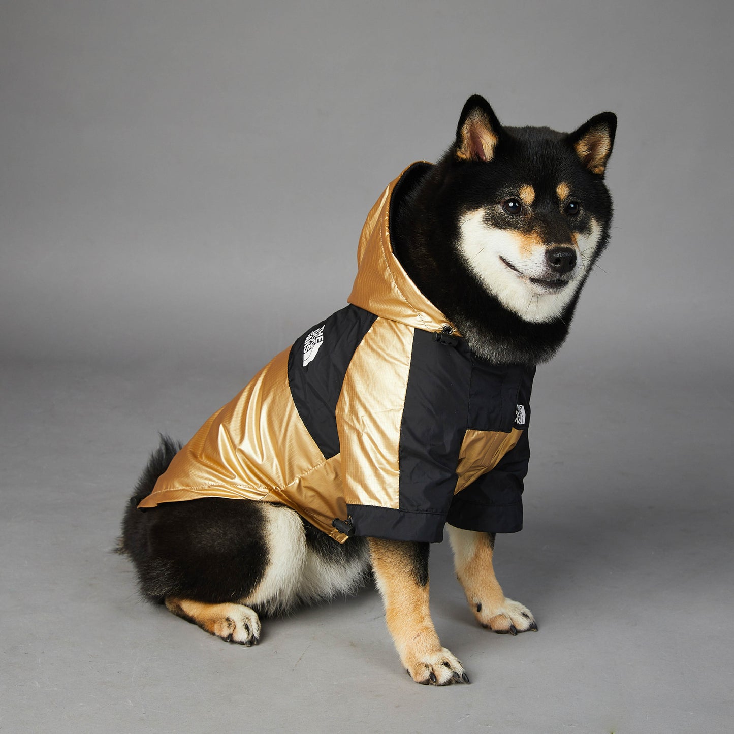 Dog Raincoat  Jacket