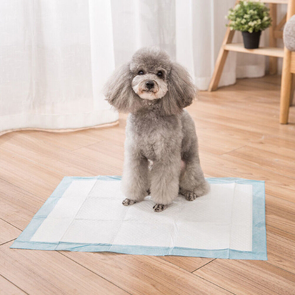 50x Large Puppy Training Trainer Train Pads Toilet Pee Wee Poo Dog Pet Cat Mats