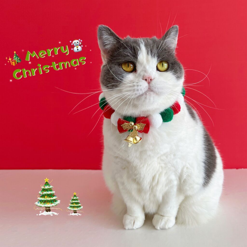 Pet Christmas Bowknot Collar Cat Scarf