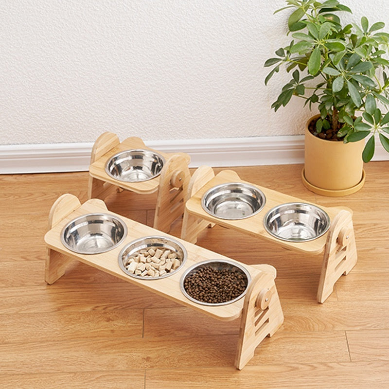 Cat Dog Drinking food Bowl