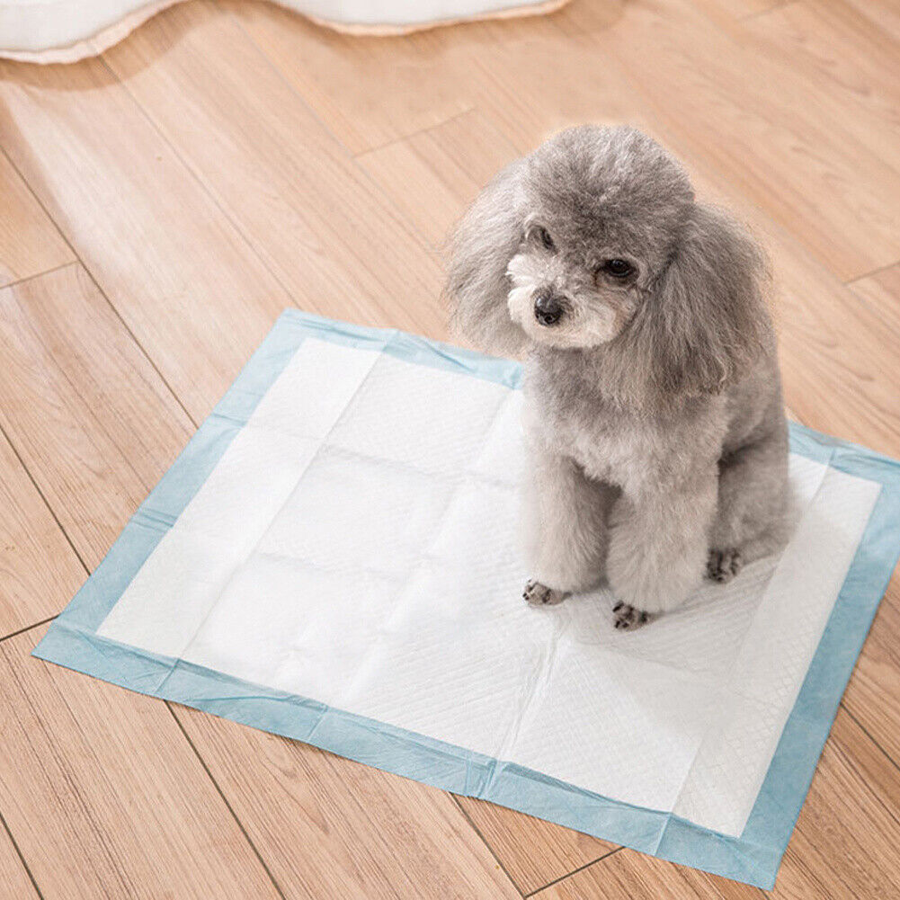 50x Large Puppy Training Trainer Train Pads Toilet Pee Wee Poo Dog Pet Cat Mats